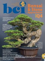 BCI Bonsai & Stone Appreciation Magazine